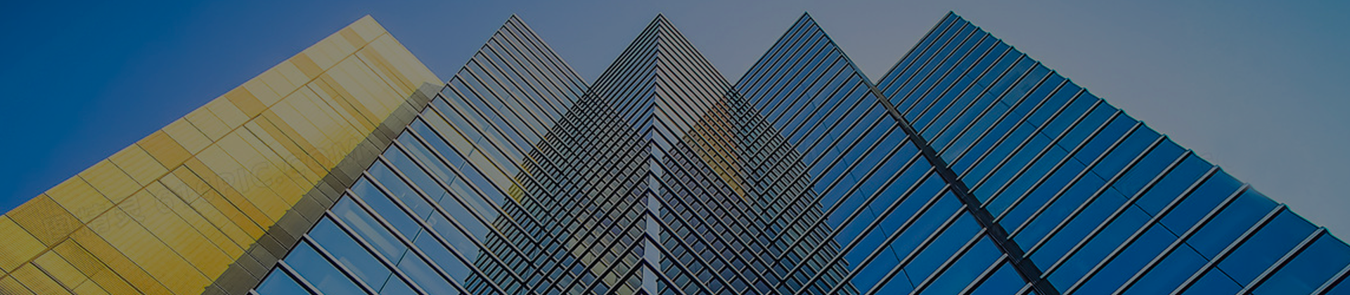 — 公司簡介 —